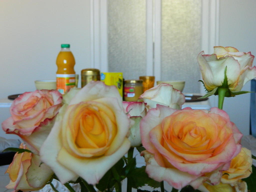 Chambre D'Hote Zen Chez Philippe Marseille Room photo